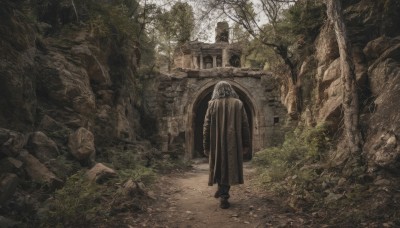 solo,1boy,standing,outdoors,day,tree,dutch angle,no humans,grass,nature,scenery,forest,walking,rock,ruins,moss,stone,rubble,1girl,grey hair,male focus,from behind,cloak,robe,facing away,wide shot,arch