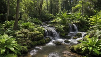 outdoors,day,water,tree,no humans,leaf,traditional media,sunlight,grass,plant,nature,scenery,forest,rock,bush,river,waterfall,moss,stream