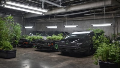 indoors,no humans,window,plant,ground vehicle,scenery,motor vehicle,car,potted plant,vehicle focus,sports car