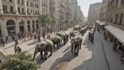 outdoors,multiple boys,sky,day,tree,shadow,6+girls,animal,ground vehicle,building,scenery,motor vehicle,6+boys,city,car,road,riding,horse,street,crowd,horseback riding,people,crosswalk,multiple girls,statue