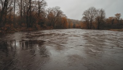 outdoors,sky,day,cloud,water,tree,no humans,nature,scenery,snow,forest,reflection,road,winter,bare tree,landscape,fog,grey sky,cloudy sky,river,lake