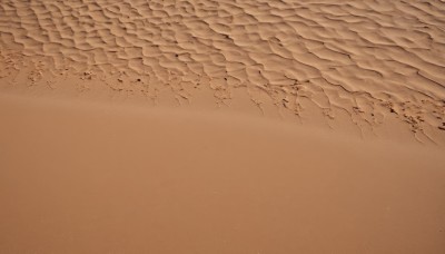 monochrome,outdoors,water,no humans,bird,ocean,traditional media,beach,scenery,sand,sepia,shore,brown theme,from above,desert,footprints