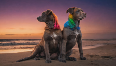 sitting, closed mouth, outdoors, sky, no humans, animal, sunset, dog, realistic, sand, animal focus