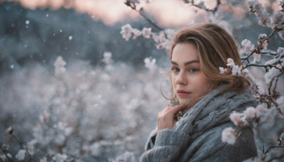 1girl, solo, long hair, looking at viewer, blue eyes, blonde hair, brown hair, upper body, flower, scarf, blurry, lips, cherry blossoms, snow, snowing, realistic, nose, branch, winter