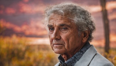 solo,looking at viewer,shirt,1boy,closed mouth,jacket,upper body,white hair,grey hair,male focus,outdoors,necktie,sky,collared shirt,blurry,grey eyes,blurry background,formal,suit,blue shirt,portrait,curly hair,realistic,old,old man,wrinkled skin,cloud,black eyes,tree,facial hair,expressionless,cloudy sky,sunset