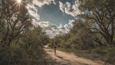 1girl,solo,long hair,skirt,brown hair,shirt,black hair,standing,outdoors,sky,shorts,day,cloud,from behind,tree,blue sky,dutch angle,shadow,sunlight,cloudy sky,grass,nature,scenery,forest,walking,blue shorts,denim shorts,sun,road,wide shot,path,landscape