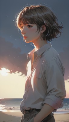 1girl,solo,blush,short hair,bangs,brown hair,shirt,long sleeves,brown eyes,closed mouth,standing,white shirt,upper body,cowboy shot,outdoors,parted lips,sky,day,collared shirt,belt,pants,cloud,water,black eyes,from side,lips,dress shirt,buttons,ocean,looking away,beach,black pants,sunlight,wing collar,buckle,sleeves rolled up,backlighting,pocket,sunset,belt buckle,nose,hands in pockets,sand,breast pocket,looking afar,black belt,hand in pocket,horizon,shirt tucked in