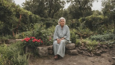 solo,looking at viewer,smile,long sleeves,1boy,sitting,closed mouth,flower,white hair,male focus,outdoors,shoes,day,tree,facial hair,brown footwear,own hands together,grass,plant,red flower,nature,scenery,forest,rock,realistic,old,old man,moss,stone,old woman,wrinkled skin,jewelry,necklace,beard,robe,bush,log