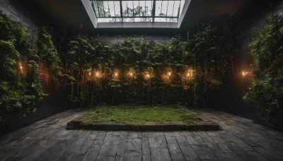 indoors,tree,no humans,window,sunlight,grass,plant,nature,scenery,overgrown,day,tiles,light,bush,tile floor,stone floor