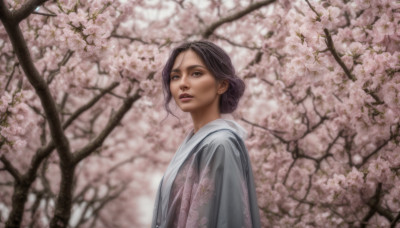 1girl, solo, looking at viewer, black hair, brown eyes, upper body, flower, outdoors, parted lips, japanese clothes, kimono, hair bun, blurry, tree, lips, single hair bun, cherry blossoms, realistic