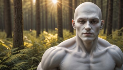 solo,looking at viewer,1boy,brown eyes,closed mouth,collarbone,upper body,flower,male focus,outdoors,blurry,tree,lips,muscular,sunlight,muscular male,nature,forest,topless male,light rays,realistic,bald,smile,white hair,depth of field,blurry background,colored skin,portrait,bush,old