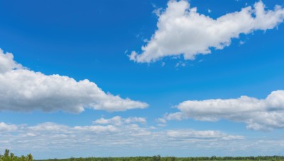 outdoors,sky,day,cloud,tree,blue sky,no humans,bird,cloudy sky,grass,plant,nature,scenery,forest,field,summer,landscape,cumulonimbus cloud