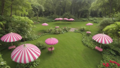 flower,outdoors,day,tree,no humans,umbrella,sunlight,grass,plant,nature,scenery,forest,bush,parasol,mushroom,path,rock,shade,green theme,garden,tree stump