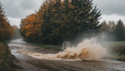 outdoors,sky,day,cloud,water,tree,no humans,cloudy sky,grass,nature,scenery,forest,mountain,road,river,landscape,fog,path,pine tree,realistic,bush