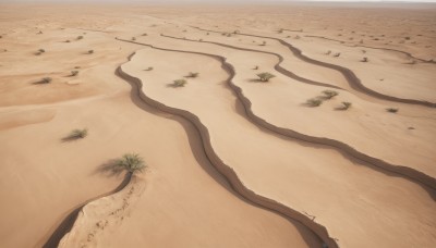 outdoors,day,tree,no humans,shadow,beach,scenery,sand,road,desert,english text,grass,plant,shore