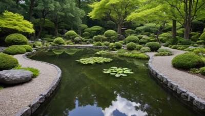 outdoors,sky,day,cloud,water,tree,no humans,grass,nature,scenery,forest,reflection,rock,road,bush,river,landscape,lake,lily pad,path,moss,pond,reflective water