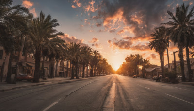 outdoors, sky, cloud, tree, dutch angle, no humans, cloudy sky, ground vehicle, building, scenery, motor vehicle, sunset, palm tree, car, road, street, vanishing point