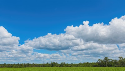 outdoors,sky,day,cloud,tree,blue sky,no humans,cloudy sky,grass,nature,scenery,forest,field,landscape