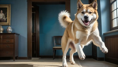 HQ,open mouth,tongue,indoors,book,no humans,window,shadow,animal,chair,table,desk,running,dog,realistic,door,animal focus,painting (object),shiba inu,looking at viewer,tail,fangs,sunlight,lamp,shelf,vase,picture (object),portrait (object)