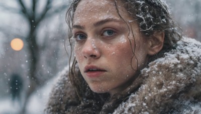 1girl,solo,long hair,looking at viewer,blue eyes,brown hair,black hair,outdoors,parted lips,teeth,blurry,black eyes,tree,lips,wet,fur trim,depth of field,blurry background,portrait,snow,snowing,realistic,nose,winter,bare tree,hood,coat,grey eyes,eyelashes,close-up,winter clothes