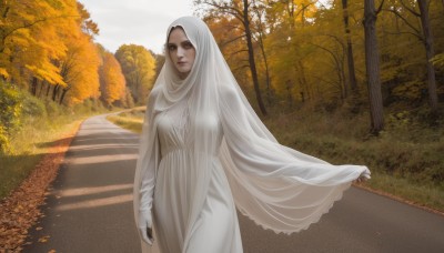 1girl,solo,breasts,looking at viewer,long sleeves,dress,brown eyes,medium breasts,standing,outdoors,day,white dress,tree,lips,nature,veil,forest,realistic,road,autumn leaves,autumn,long hair,white hair,sky,hood,grass,scenery,path