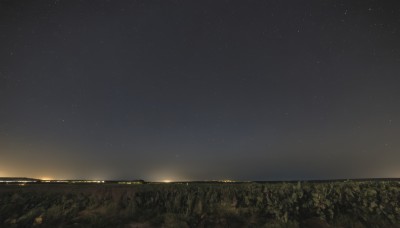 outdoors,sky,water,tree,no humans,night,ocean,grass,star (sky),nature,night sky,scenery,starry sky,sunset,horizon,landscape,ground vehicle,field