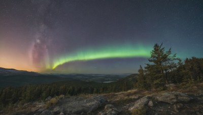 outdoors,sky,tree,no humans,night,grass,star (sky),nature,night sky,scenery,forest,starry sky,rock,mountain,landscape,aurora,milky way