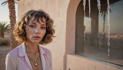 1girl,solo,looking at viewer,short hair,bangs,brown hair,shirt,black hair,brown eyes,jewelry,collarbone,white shirt,upper body,earrings,parted lips,open clothes,teeth,day,collared shirt,indoors,dark skin,water,necklace,blurry,dark-skinned female,tree,lips,wet,see-through,eyelashes,open shirt,depth of field,blurry background,wavy hair,plant,messy hair,wet clothes,pendant,freckles,curly hair,water drop,realistic,nose,palm tree,wet shirt,wet hair,breasts,cleavage,outdoors