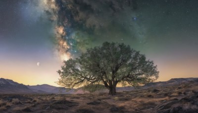 outdoors,sky,cloud,tree,no humans,night,moon,grass,star (sky),nature,night sky,scenery,forest,starry sky,sunset,mountain,bare tree,landscape,mountainous horizon,gradient sky,signature