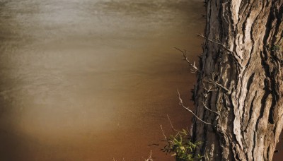 outdoors,signature,tree,no humans,plant,nature,scenery,brown background,branch,vines,cliff,sky,cloud,gradient,bird,leaf,traditional media,grass,bare tree