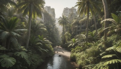 outdoors,sky,day,water,tree,no humans,leaf,beach,sunlight,plant,building,nature,scenery,rock,city,sand,palm tree,ruins,skyscraper,cloud,motor vehicle,forest,bush,post-apocalypse