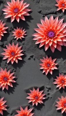 flower,no humans,shadow,from above,red flower,gem,red theme,still life,outdoors,leaf,scenery,purple flower,road