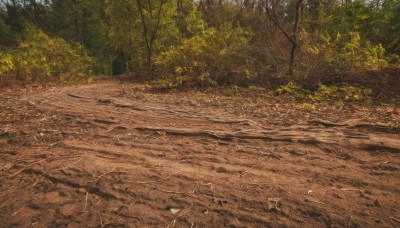 outdoors,day,tree,no humans,traditional media,sunlight,grass,nature,scenery,forest,road,path,rock,sand,landscape