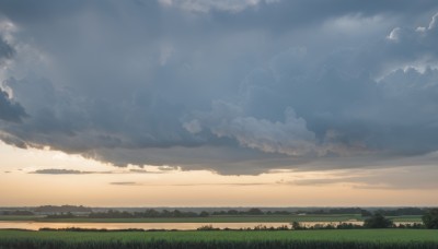 outdoors,sky,day,cloud,tree,blue sky,no humans,cloudy sky,grass,nature,scenery,sunset,field,landscape,hill,horizon