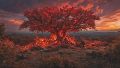 outdoors,sky,cloud,tree,no humans,leaf,cloudy sky,grass,fire,nature,scenery,forest,sunset,mountain,sun,autumn leaves,red theme,autumn,landscape,orange theme,red sky,horizon