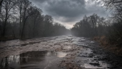 outdoors,sky,day,cloud,water,tree,no humans,cloudy sky,grass,nature,scenery,forest,reflection,bare tree,river,landscape,fog,grey sky,signature,sunlight,overcast