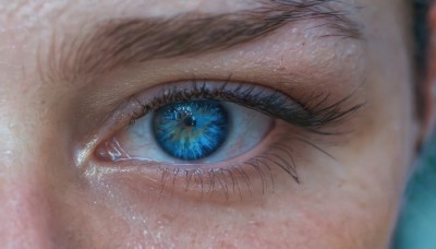 solo,looking at viewer,bangs,blue eyes,1boy,male focus,blurry,eyelashes,depth of field,close-up,1other,reflection,realistic,eye focus,black hair,signature,blurry background