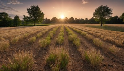 outdoors,sky,cloud,tree,no humans,sunlight,cloudy sky,grass,nature,scenery,forest,sunset,mountain,sun,road,field,landscape,path,signature,plant,horizon,evening,sunrise