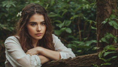 1girl,solo,long hair,looking at viewer,smile,brown hair,shirt,hair ornament,long sleeves,brown eyes,closed mouth,white shirt,upper body,flower,outdoors,day,hair flower,blurry,tree,lips,depth of field,blurry background,leaf,wavy hair,crossed arms,plant,nature,freckles,realistic,nose,branch,parted lips,blouse,forest