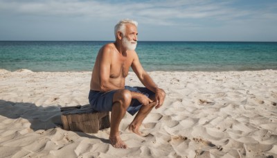 solo,1boy,sitting,weapon,white hair,male focus,outdoors,sky,shorts,barefoot,day,cloud,facial hair,ocean,beach,beard,topless male,realistic,mustache,sand,old,chest hair,male swimwear,old man,swim trunks,leg hair,arm hair,fine art parody,dirty feet,grey hair,water,blue sky,parody,horizon