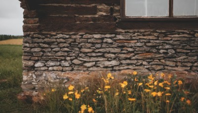 solo,flower,outdoors,sky,day,cloud,no humans,window,cloudy sky,grass,scenery,rain,rock,yellow flower,field,ruins