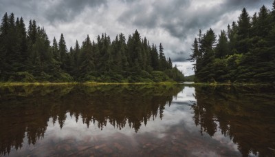 outdoors,sky,day,cloud,signature,water,tree,no humans,cloudy sky,nature,scenery,snow,forest,mountain,river,landscape,fog,pine tree,reflection,lake,reflective water