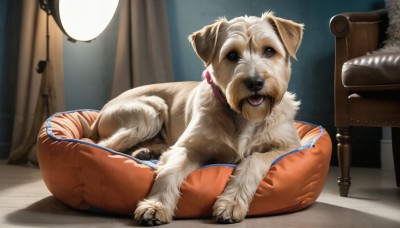 HQ,solo,brown eyes,lying,tongue,indoors,tongue out,black eyes,collar,pillow,no humans,bed,animal,on side,chair,phone,table,curtains,dog,realistic,lamp,animal focus,cushion,pet,looking at viewer,open mouth,brown fur,spotlight