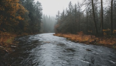 outdoors,sky,day,signature,tree,no humans,nature,scenery,snow,forest,road,winter,bare tree,landscape,path,water,grass,rock,mountain,river,fog,grey sky