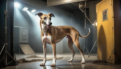 HQ,open mouth,standing,horns,tongue,indoors,no humans,animal,reflection,dog,realistic,door,animal focus,ceiling light,solo,teeth,tongue out,mirror,light,spotlight