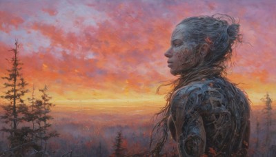 1girl,solo,long hair,1boy,upper body,male focus,outdoors,sky,cloud,hair bun,from side,tree,profile,single hair bun,nature,scenery,science fiction,sunset,orange sky,red sky,closed mouth,from behind,tattoo,colored skin,cloudy sky,forest,realistic,twilight,evening,dusk