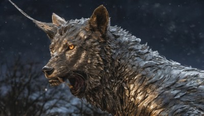 solo,open mouth,yellow eyes,upper body,outdoors,horns,sky,teeth,blurry,from side,tree,orange eyes,no humans,night,blurry background,animal,fangs,scar,sharp teeth,portrait,furry,single horn,snow,colored sclera,snowing,realistic,wolf,tongue,artist name,signature,profile,night sky,animal focus,winter,bare tree