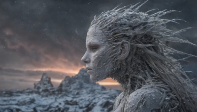 1girl,solo,long hair,closed mouth,upper body,outdoors,sky,cloud,blurry,from side,no humans,profile,blurry background,colored skin,portrait,snow,monster,snowing,mountain,realistic,alien,1boy,male focus,tree,cloudy sky,star (sky),scenery