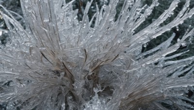 solo,1boy,male focus,outdoors,wings,blurry,tree,no humans,depth of field,blurry background,nature,ice