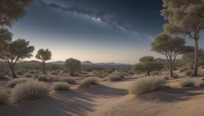 outdoors,sky,cloud,tree,blue sky,no humans,night,shadow,grass,star (sky),nature,night sky,scenery,forest,starry sky,sunset,mountain,road,landscape,path,day,beach,sand,horizon,bush,evening,gradient sky,sunrise,desert